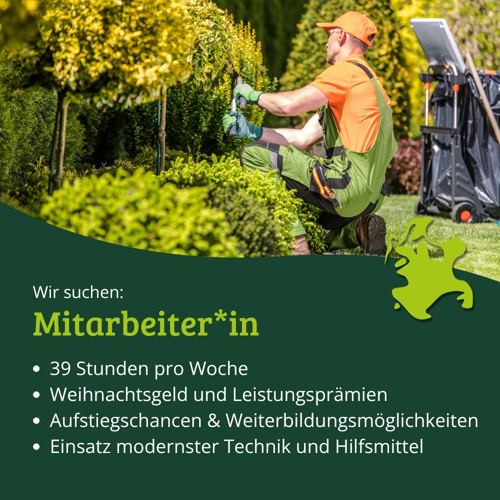 Jobanzeige Mitarbeiter*in